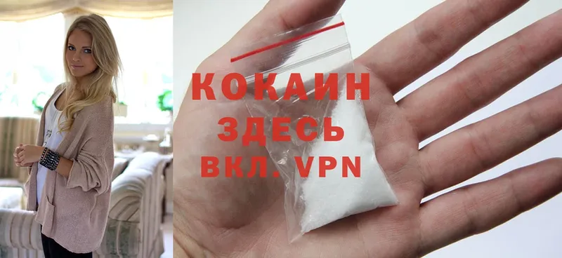 Cocaine FishScale  сколько стоит  Заволжск 